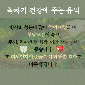 http://www.teaofkorea.co.kr/bs/userimg//fileu/1695733318_300우리차카드뉴스4.png